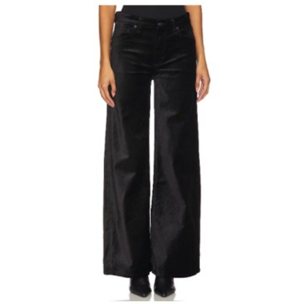 Citizens of Humanity velvet pants
